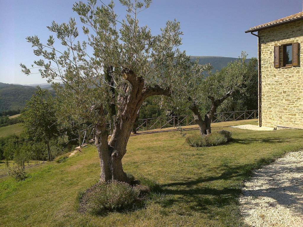 Agriturismo Paradiso 44 Assisi Eksteriør bilde