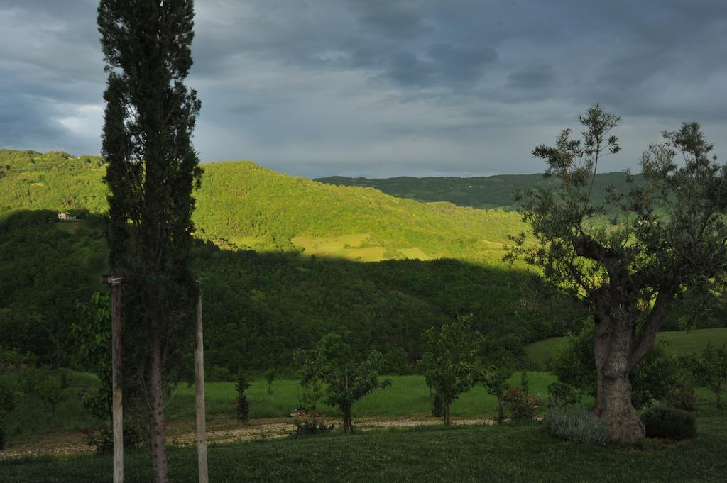 Agriturismo Paradiso 44 Assisi Eksteriør bilde
