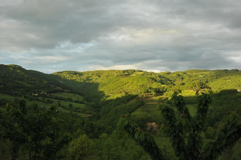 Agriturismo Paradiso 44 Assisi Eksteriør bilde