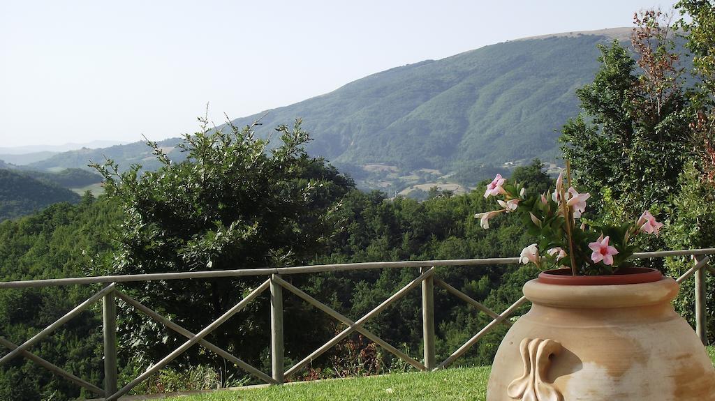 Agriturismo Paradiso 44 Assisi Eksteriør bilde