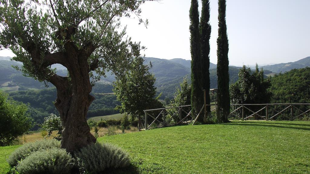 Agriturismo Paradiso 44 Assisi Eksteriør bilde