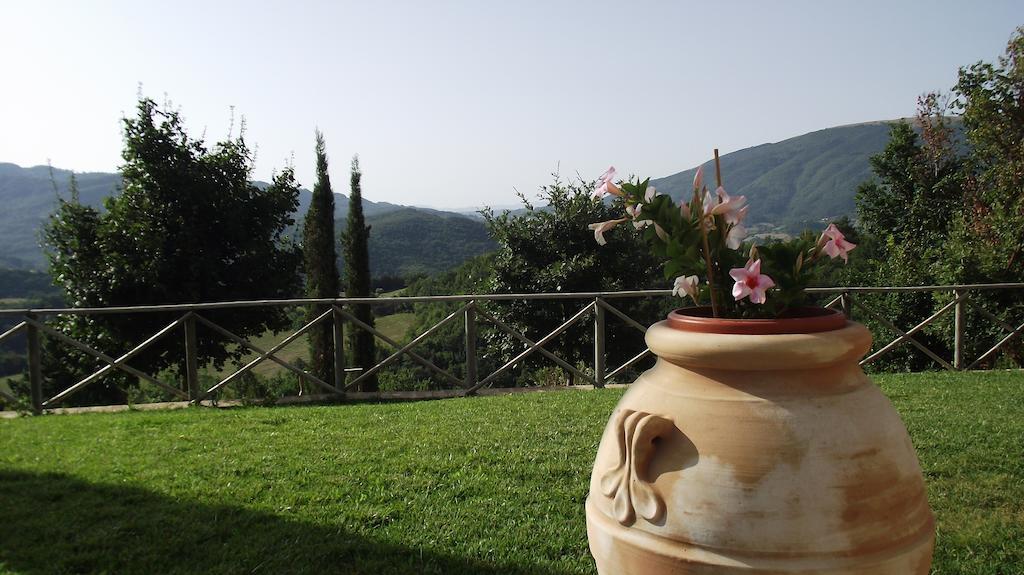 Agriturismo Paradiso 44 Assisi Eksteriør bilde