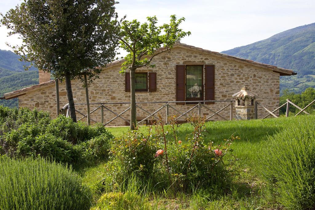 Agriturismo Paradiso 44 Assisi Eksteriør bilde