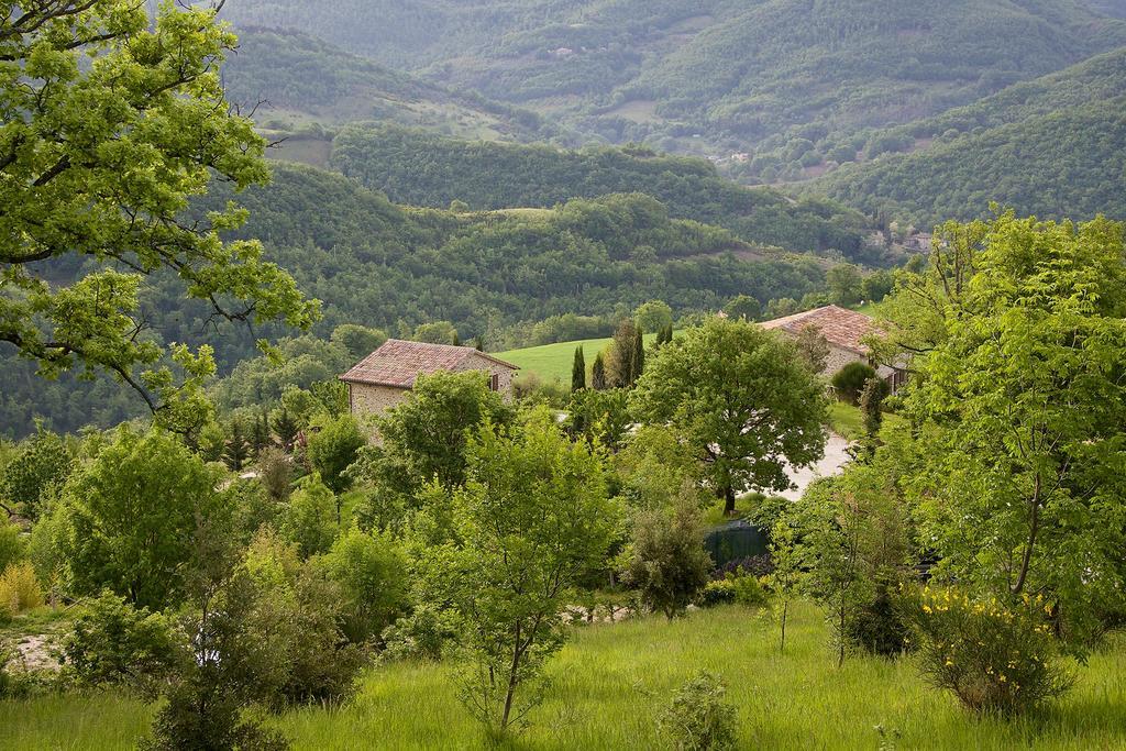 Agriturismo Paradiso 44 Assisi Eksteriør bilde