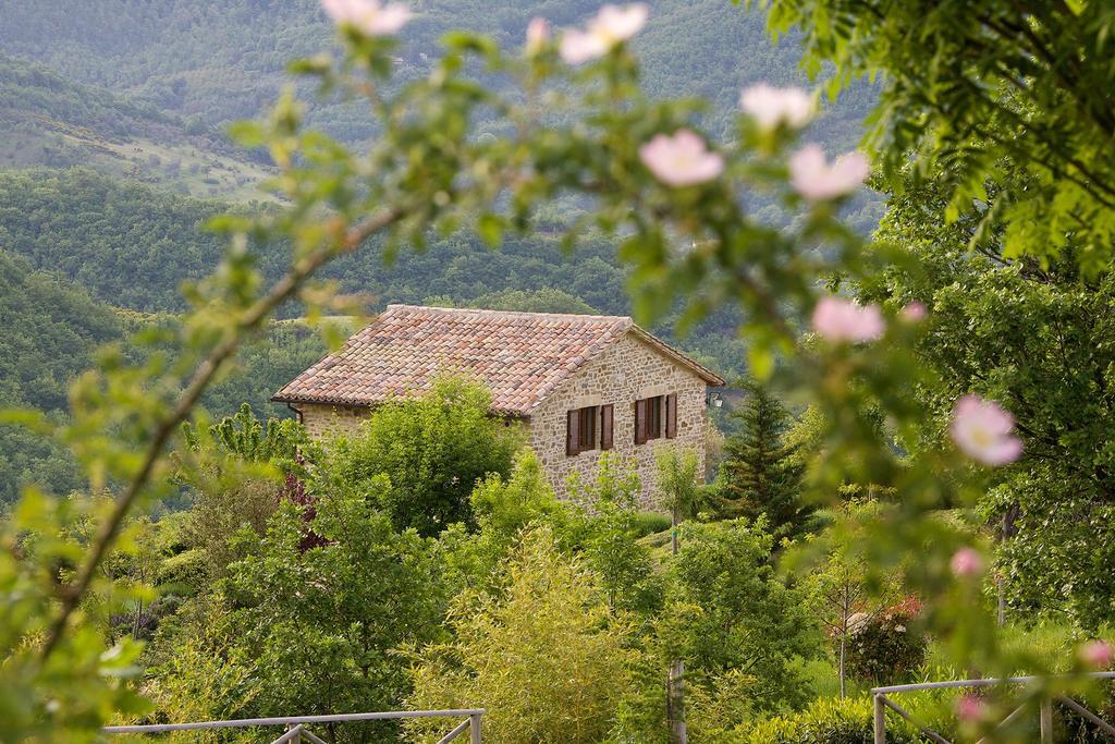 Agriturismo Paradiso 44 Assisi Eksteriør bilde